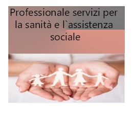 logo  Professionale servizi per la sanità e l`assistenza sociale